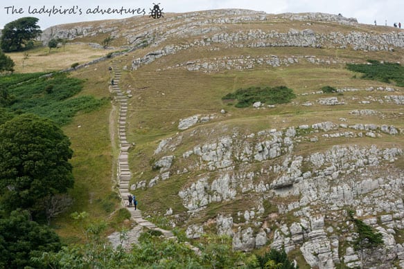 camping in Llandudno
