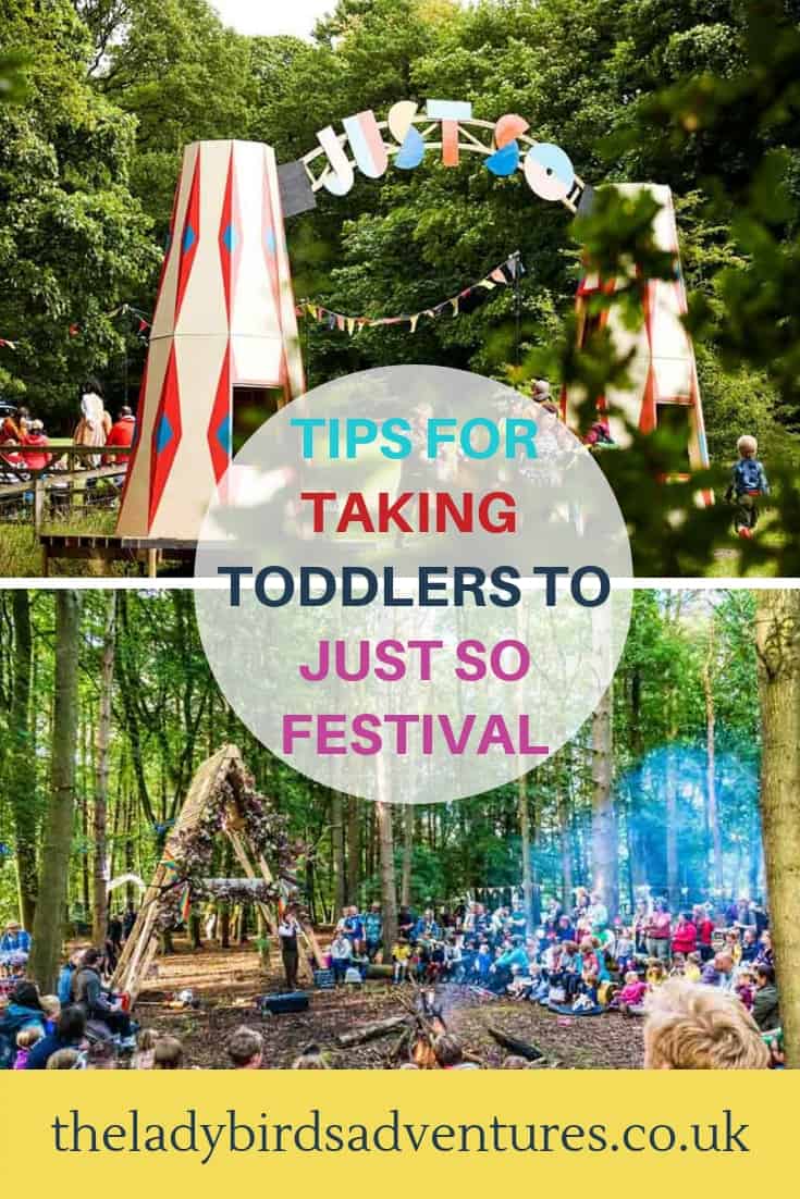 Just so festival with toddlers pin
