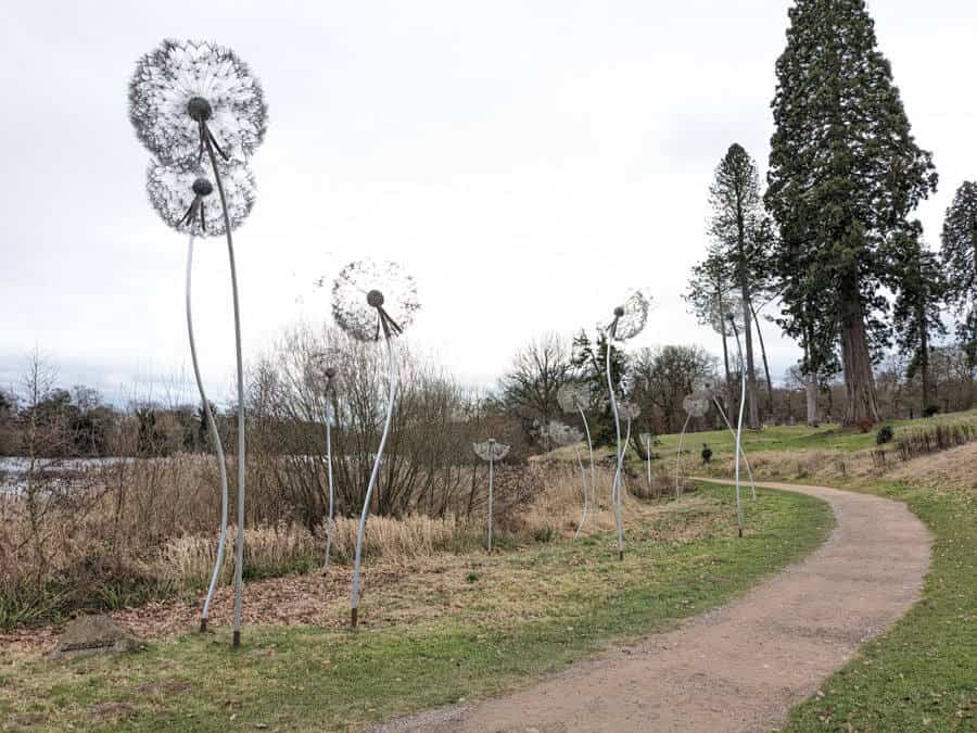 Wire dandelion sculptures by the lake