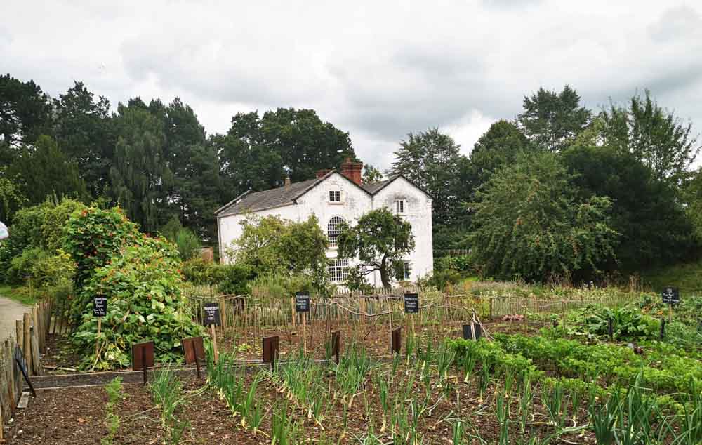 Vegetable garden with large white house in the background