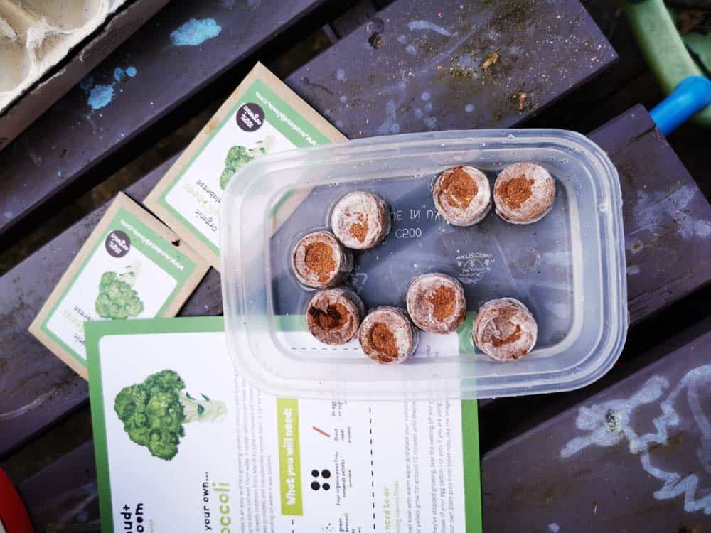 Peat free compost pellets and seeds and instructions for growing broccoli