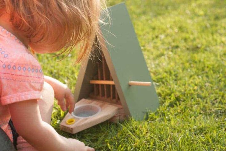 Encouraging-Wildlife-To-Your-Garden