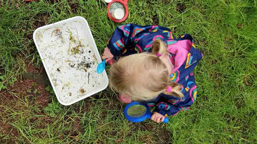 Young child examining a white tray with pond water in it