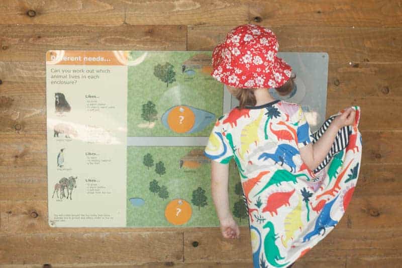 Edinburgh zoo with children review