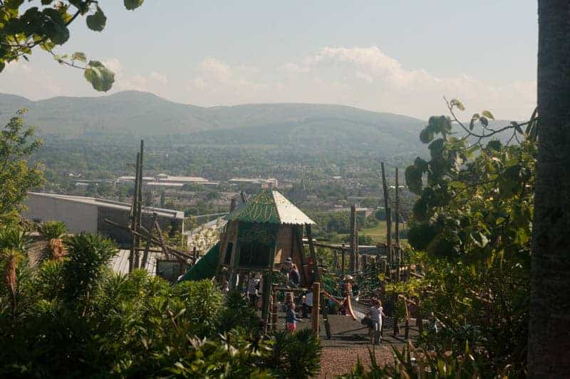 Edinburgh zoo with children review