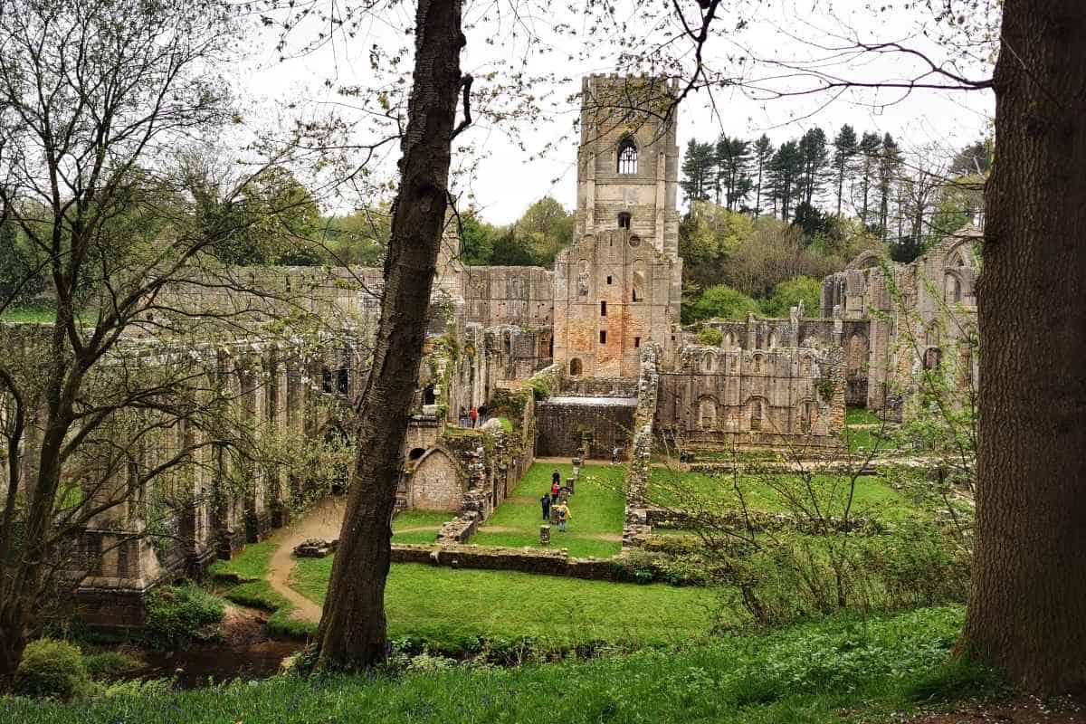 Fountains Abbey ruins viewed from a wooded hillside, with the abbey tower rising above roofless stone walls, arches, and former monastery buildings. Visitors walk through the grassy courtyards below while tree trunks and branches frame the historic ruins in the foreground.