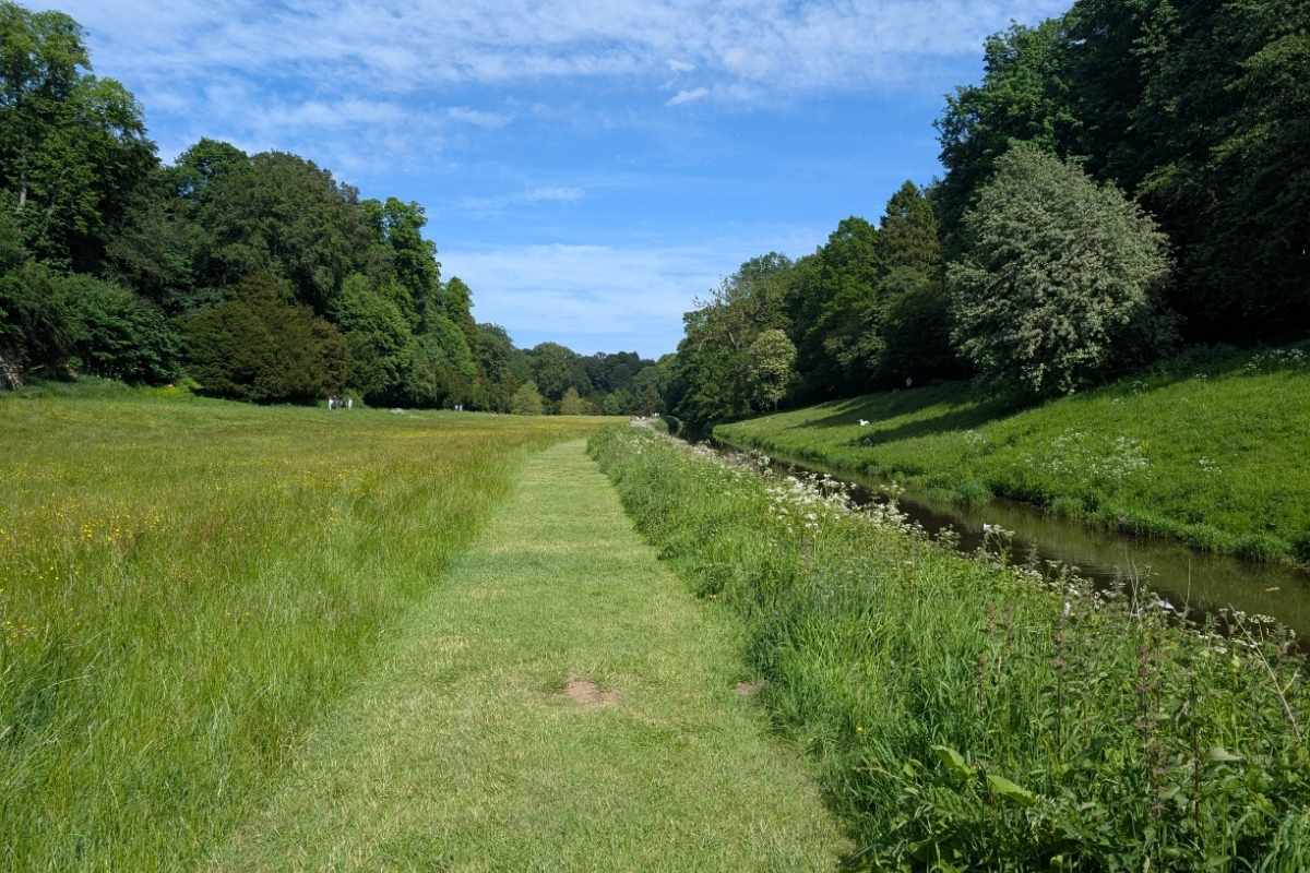 Mown grass path running through a wide meadow beside a narrow stream. Tall grasses and wildflowers border the water, while dense trees and flowering shrubs frame the landscape under a blue sky.