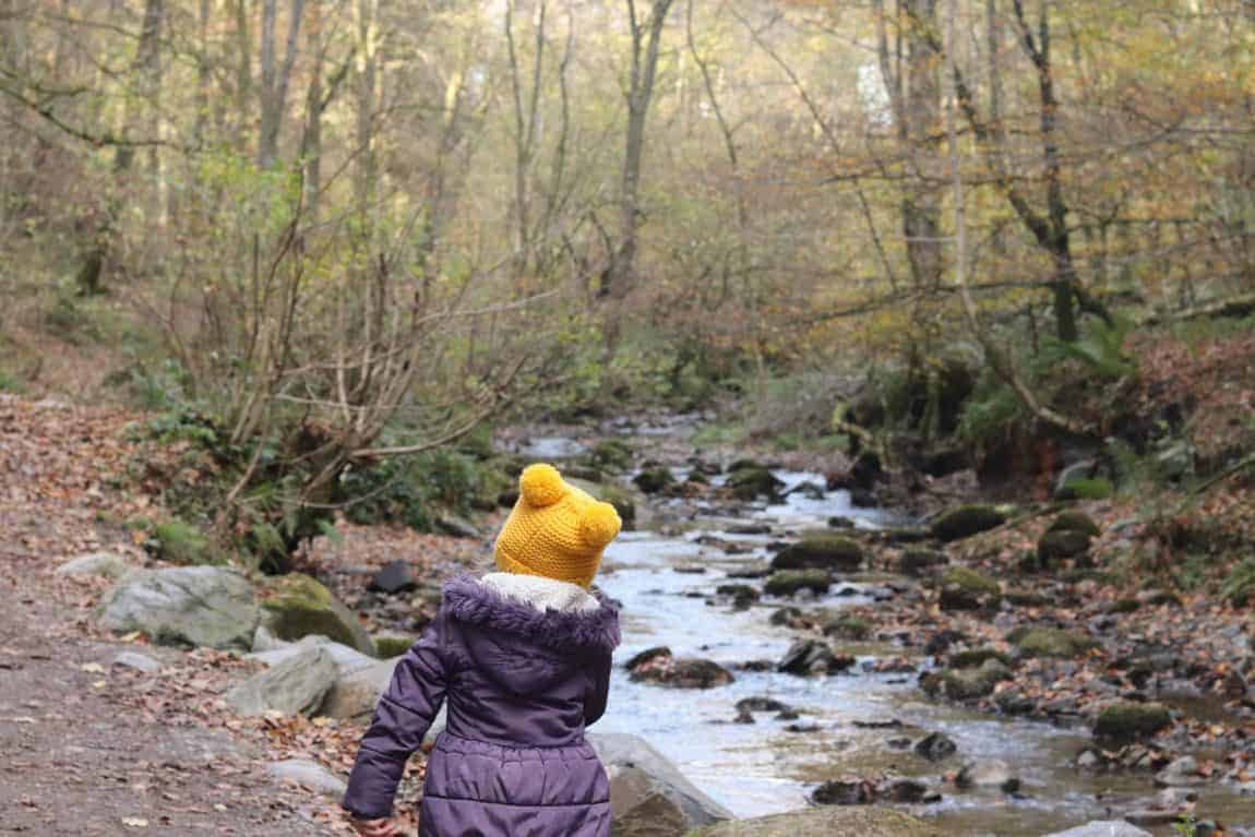 Autumn in the Lake district
