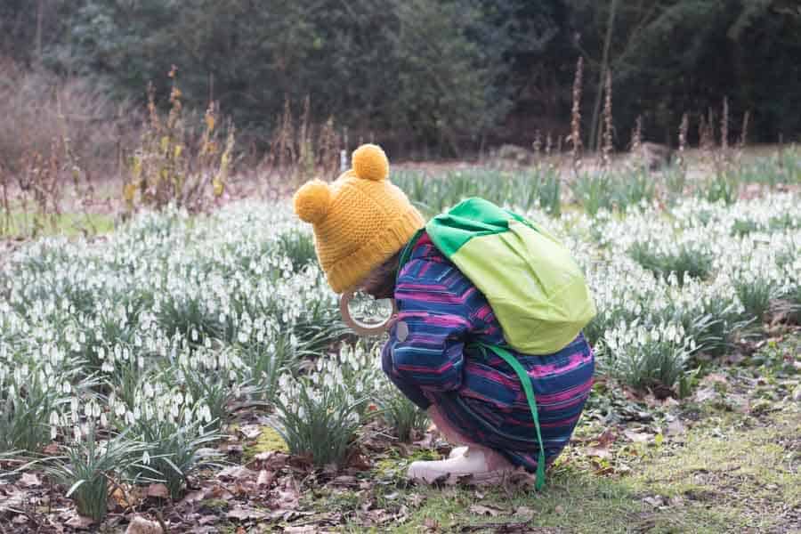Girl with magnifying glass examining snow drops
