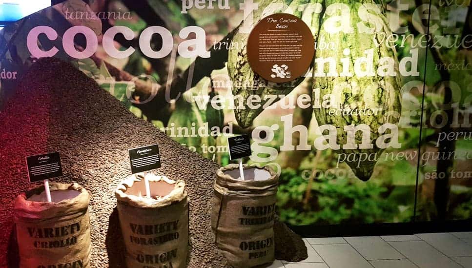 York's chocolate story cocoa exhibition