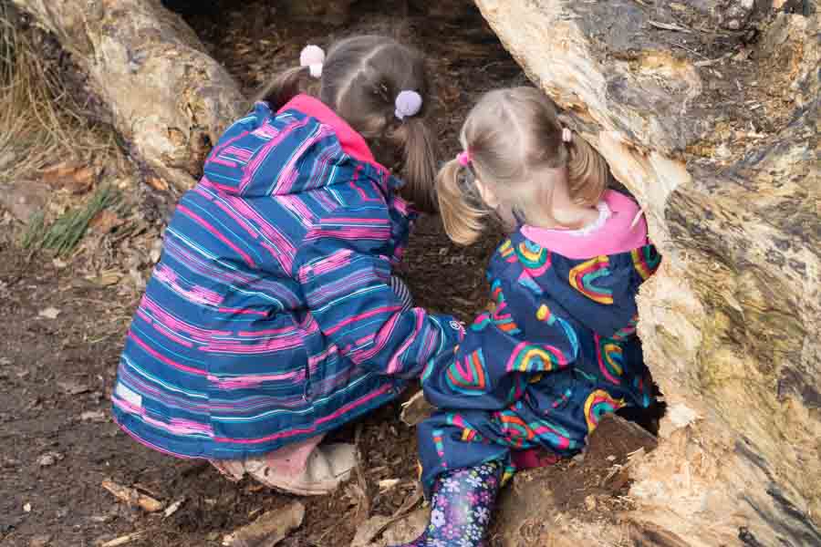 Two little girls exploring a fallen log