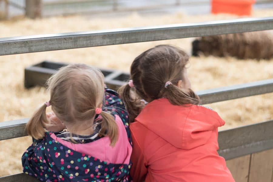 2 young children at Folly Farm