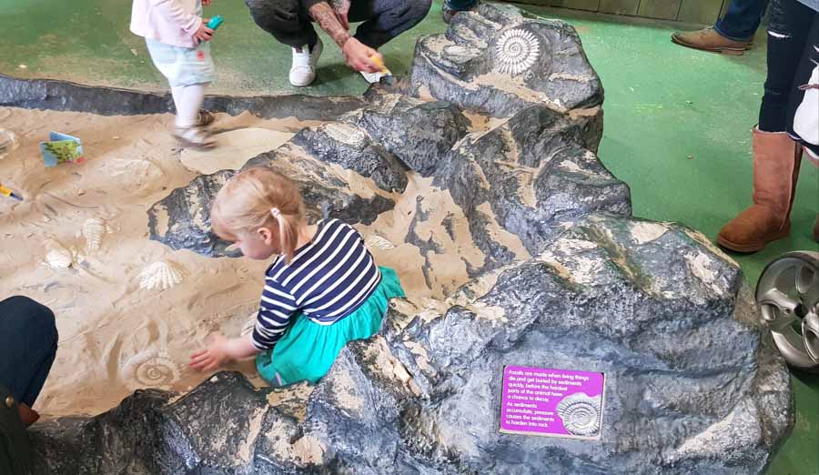 Toddler hunting for fossils in san play area