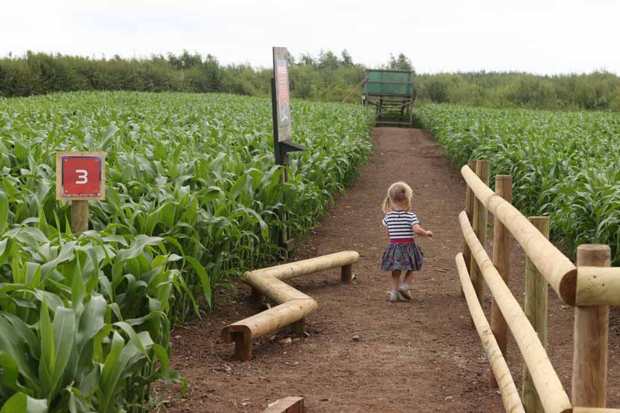 Obstacle course in the middle of a maze