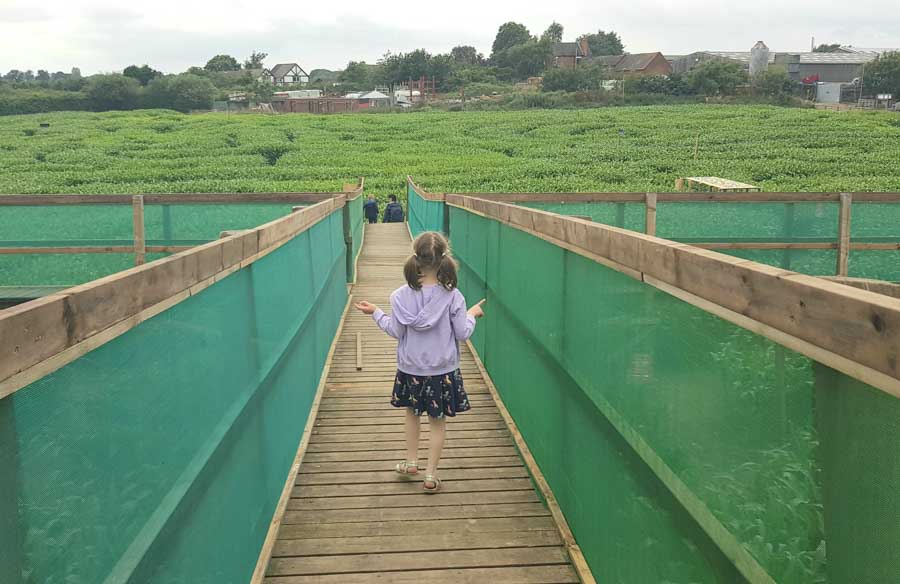 Girl on bridge in a maze