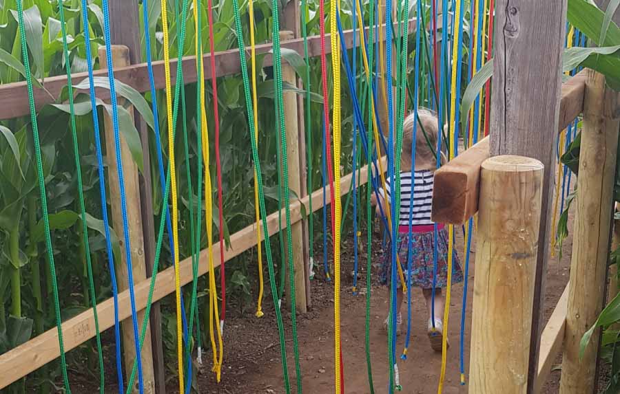Toddler in amongst brightly coloured ropes 
