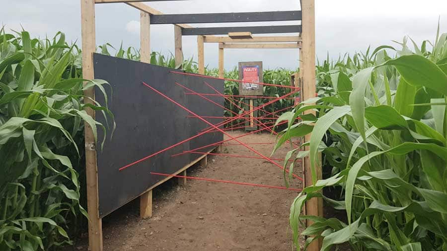 Trip wire challenge in a maze