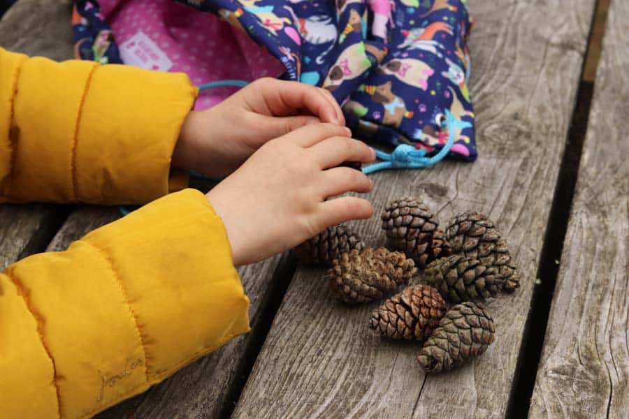 Girls hands, pine cones and a bag