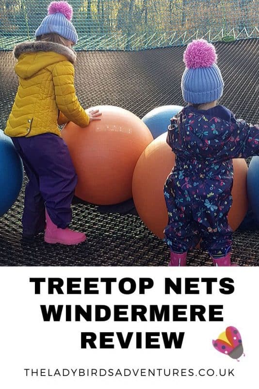 Treetop nets Windermere