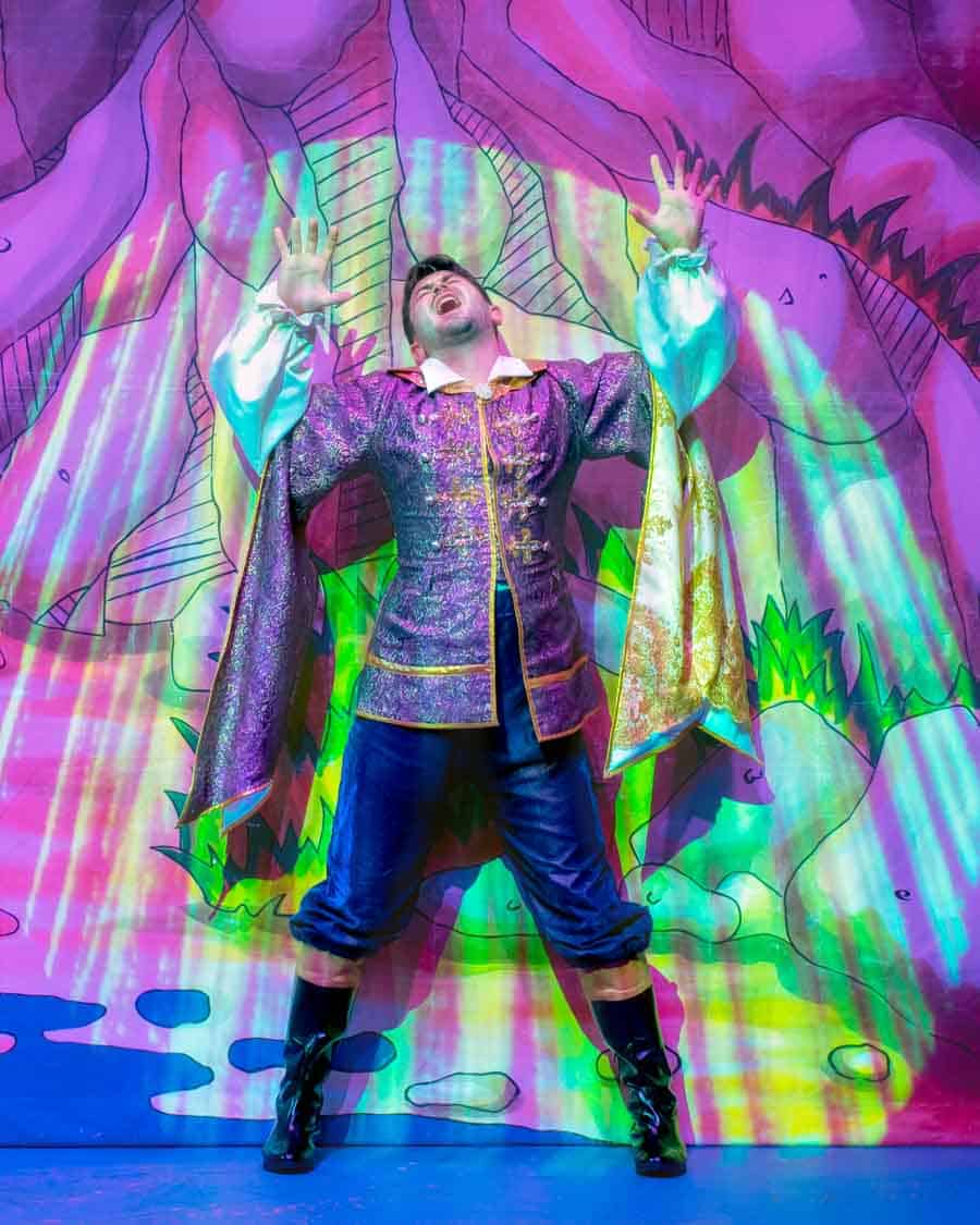Prince in Sleeping Beauty Panto forzen