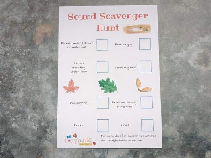 A4 piece of paper with Sound scavenger hunt written across it and lots of illustrations and text with ideas for things to hear in nature