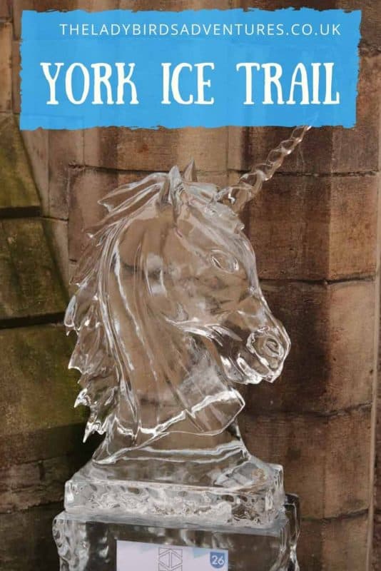 York Ice Trail pin