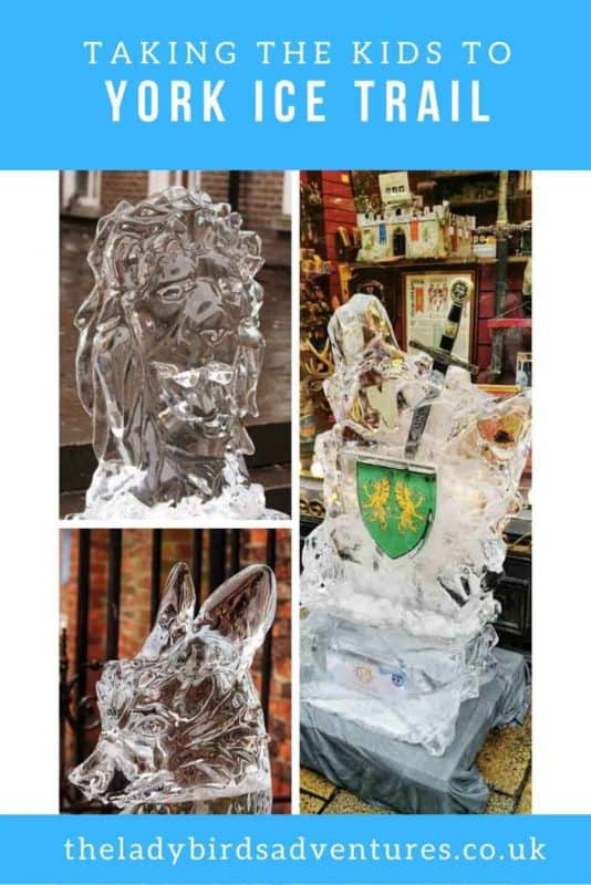 York Ice Trail pin