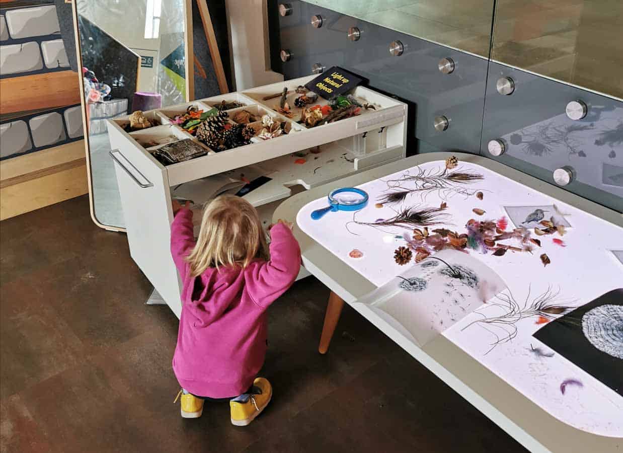 Child playing with natural loose parts on a light table