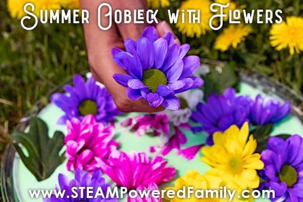 Image for Summer Oobleck Recipe with Fresh Flowers