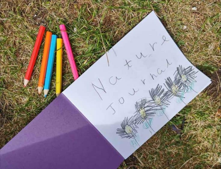 Nature journal