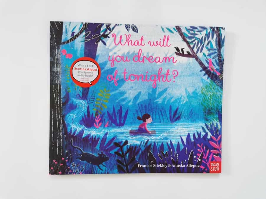 Front cover of What will you dream of tonight?