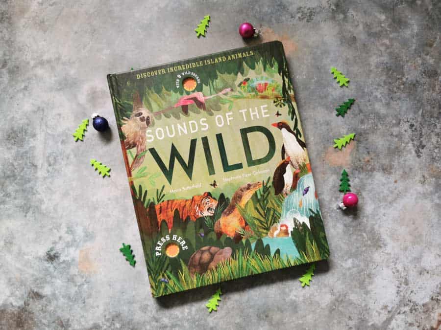 Front cover of the book sounds of the wild on a stone background with mini christmas decorations