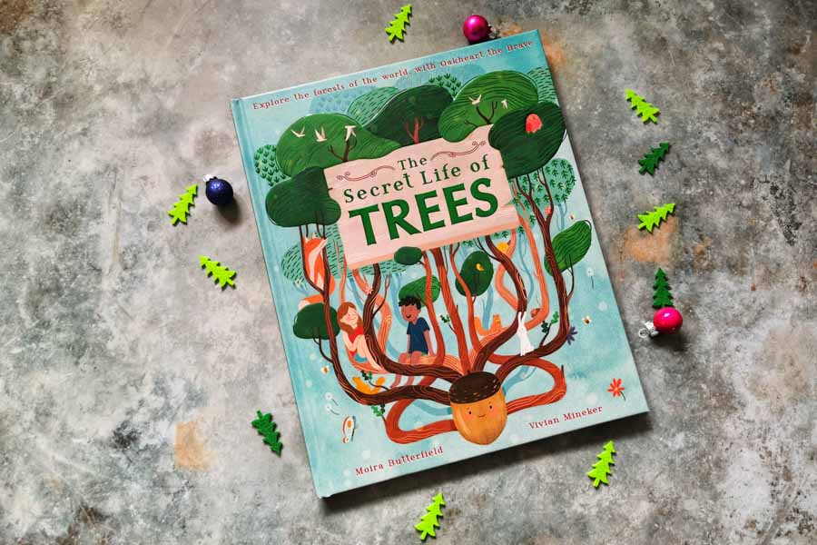 Front cover of the book The secret life of trees on a stone background with mini christmas decorations