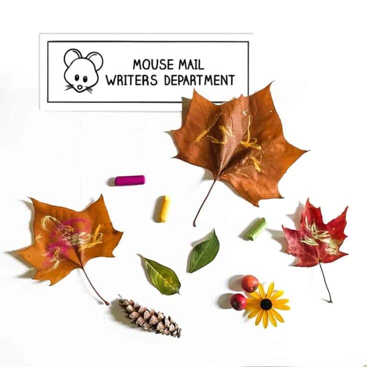 Image for Discover: Mouse Mail – A Simple Nature Activity