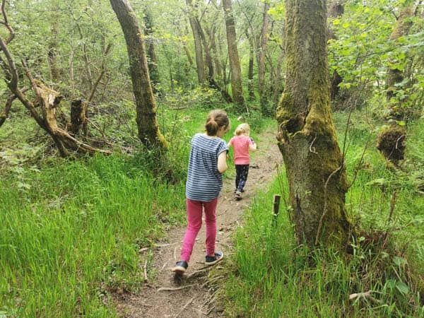 Children running in the woods