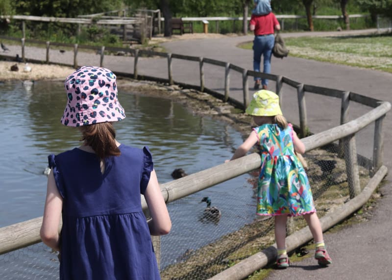 Two girls feeding ducks