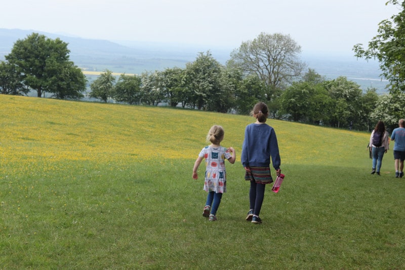 Children walking in a field of buttercups