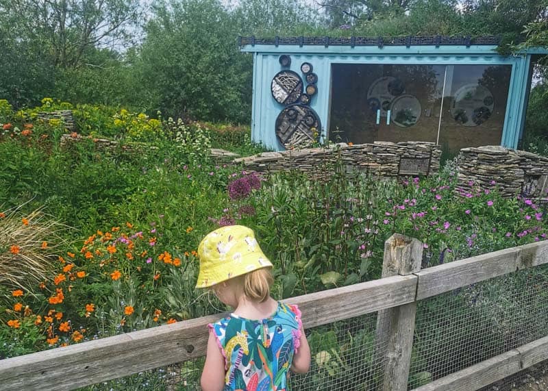Child in garden at Slimbridge WWT