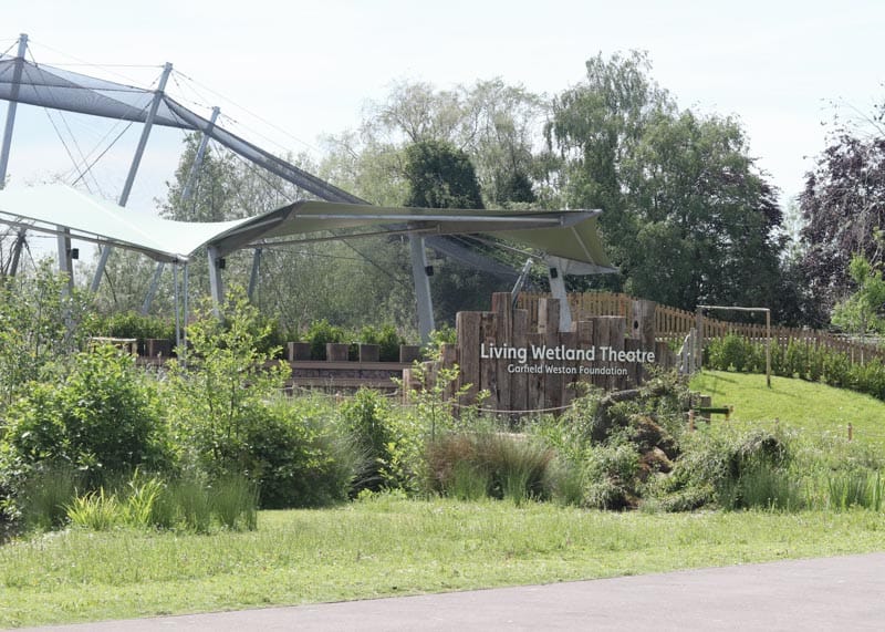 Living wetland stage