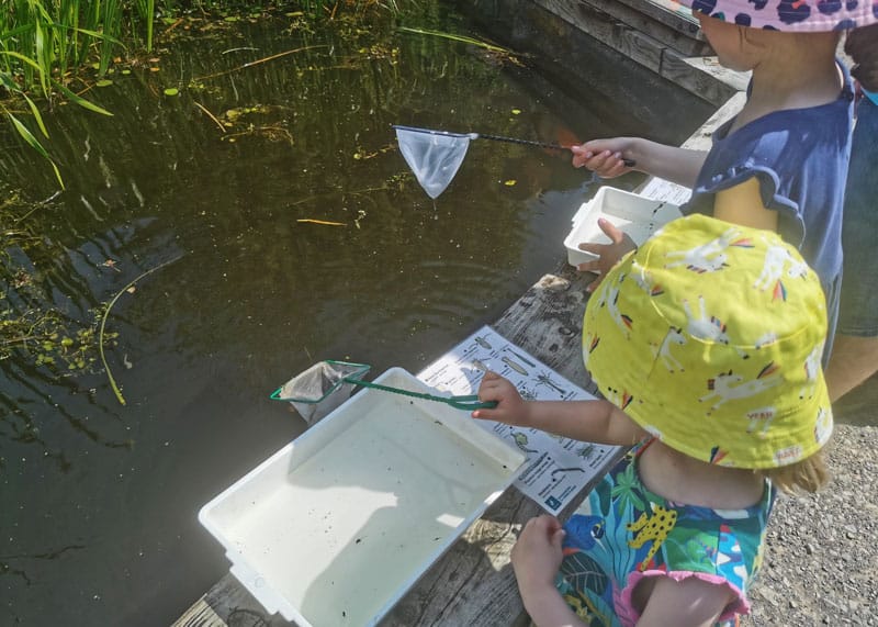 2 children with small nets in a pons