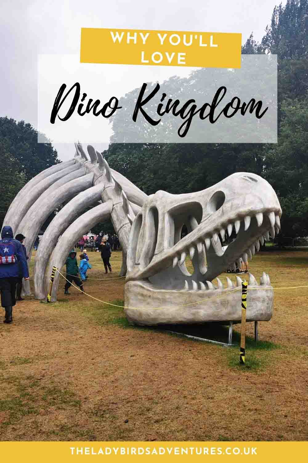 Large dinosaur skeleton and text that reads why you'll love dino kingdom