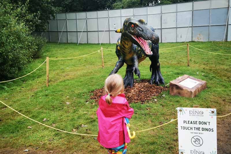 Little girl looking at a dinosaur