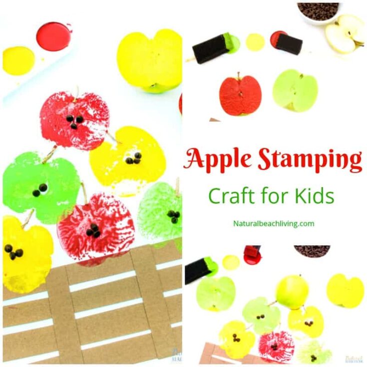 Image for How to Make The Best Apple Stamping Craft with Kids