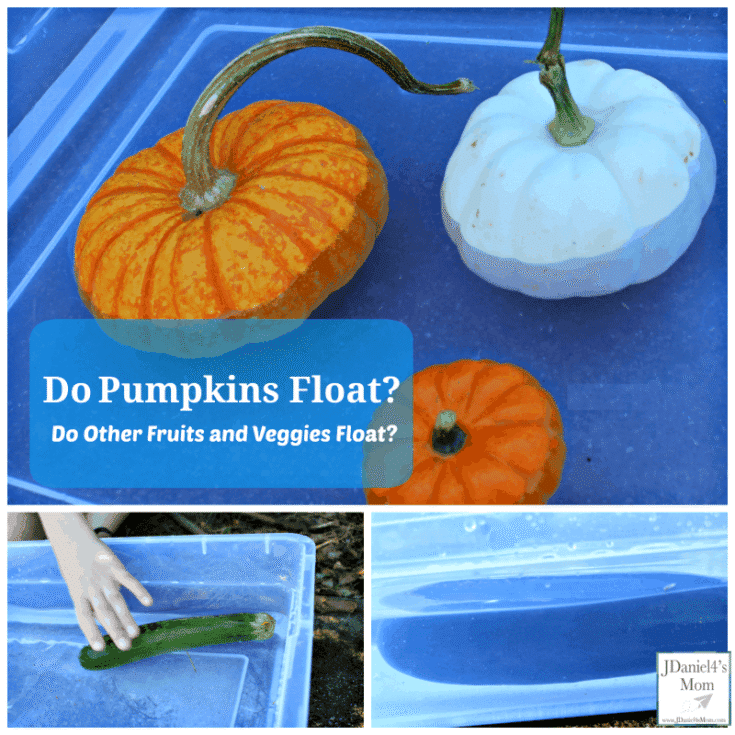 Image for Do Pumpkins Float? Do Other Fruits and Veggies Float?