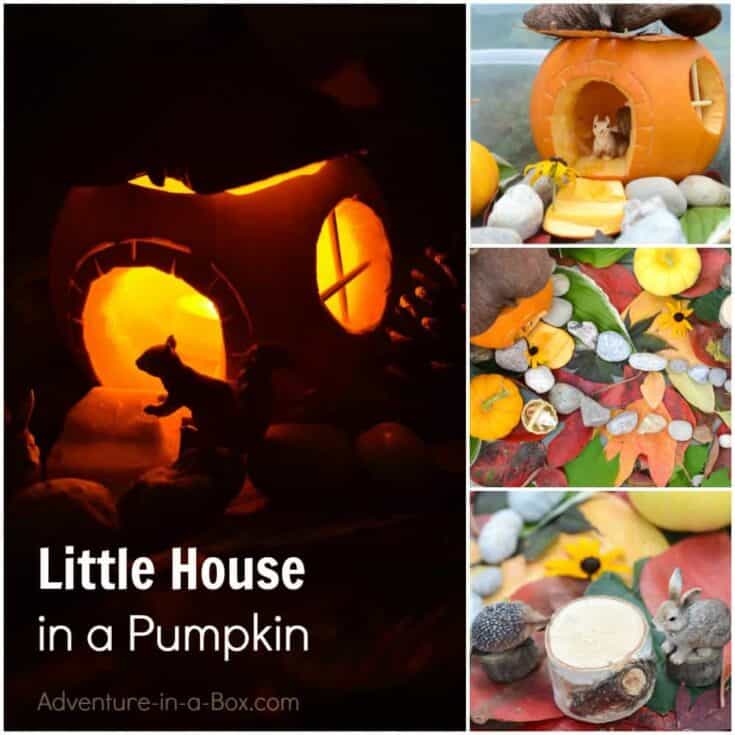 Image for Little House in the Pumpkin