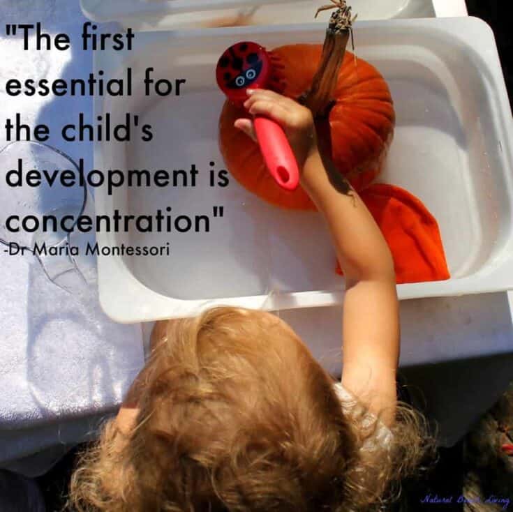 Image for Pumpkin Sensory Bin for Toddlers