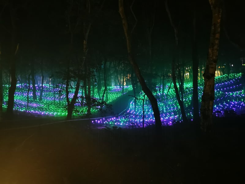 Carpet of colour changing lights