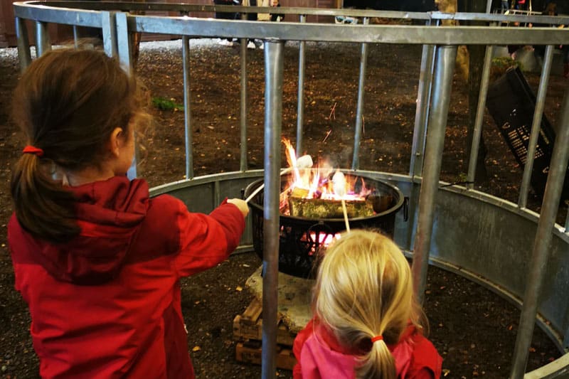 Two girls roasting marshmallows over an open fire