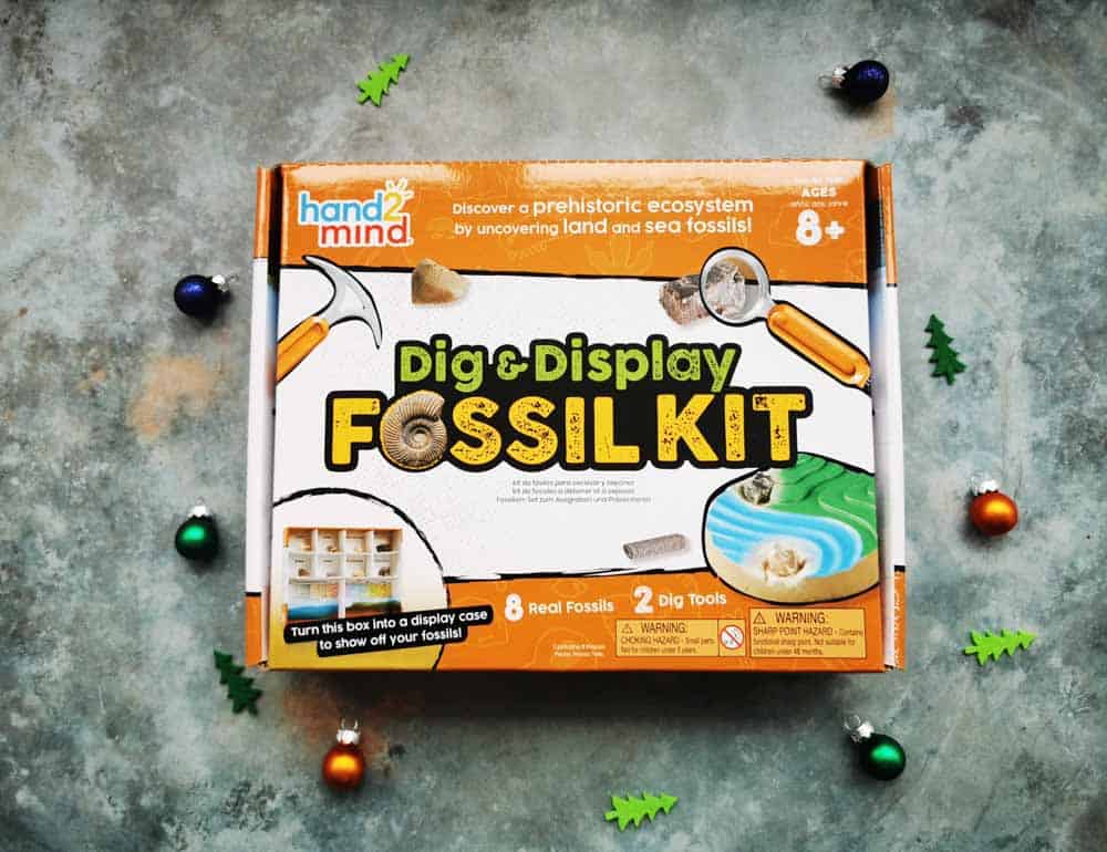 Boxed fossil kit on grey background