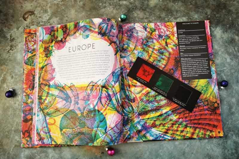 illumibugs book open at a page